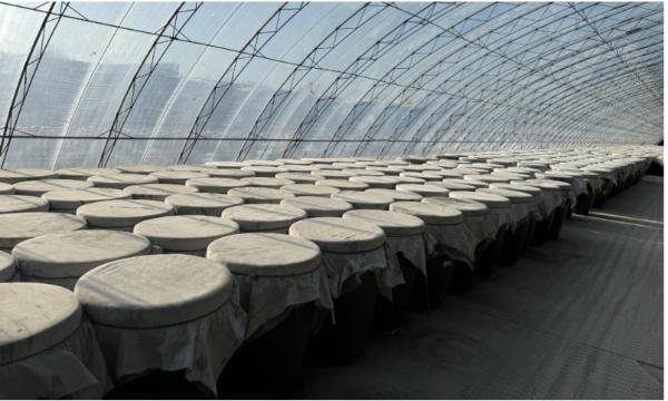 【揭秘】草原醬油界的“黑馬”:牛奶+青稞竟釀出國際金獎!