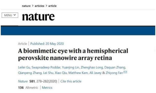 世界首個3D人工眼球問世 預計五年內人造3D眼球讓數百萬盲人重見光明