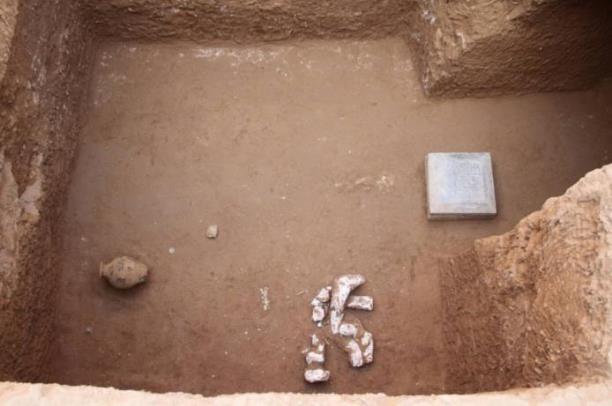 咸陽發(fā)現(xiàn)規(guī)模最大最完整隋代家族墓園 由方形圍溝和7座墓葬組成