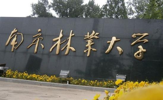 3、南京林業(yè)大學.jpg