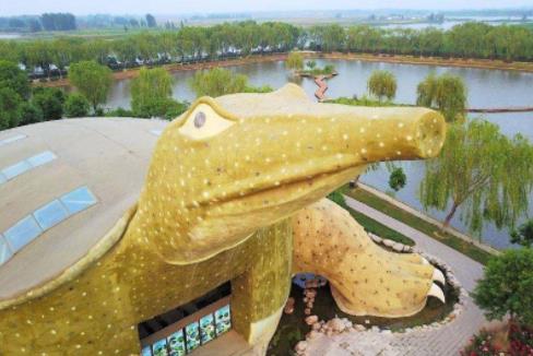 四、河北白洋淀荷花大觀園金鰲館.jpg
