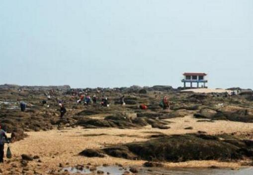 日照十個最好玩的地方排行榜,日照海濱國家森林公園風景最好