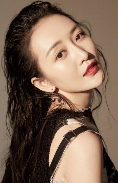 廣西十大美女明星排名,王鷗因《偽裝者》成名,張儷被愛奇藝封獎