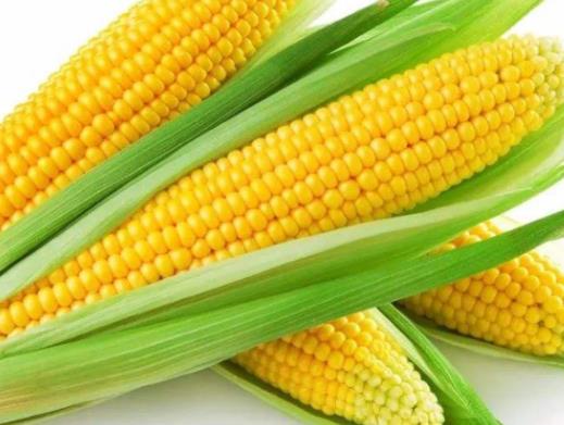 越吃越瘦的10種雜糧排名,花生、黑豆飽腹感強還能減肥
