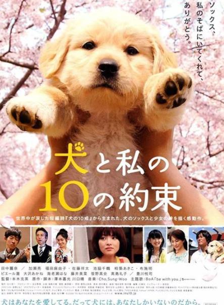 2019十大感人狗狗電影,忠犬八公的故事令人落淚,叢林赤子心很經典