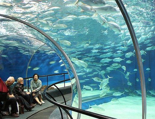 世界十大水族館排名,亞特蘭大喬治亞水族館是西半球最大水族館