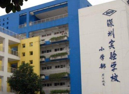 廣東十大小學(xué)排行榜,深圳實驗學(xué)校小學(xué)部、華南師范大學(xué)附屬小學(xué)有實力