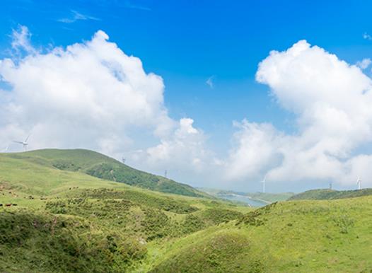 中國十大最美草原排名,呼倫貝爾草原、伊犁草原風光景色宜人