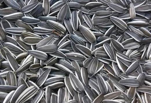 十大減肥干果排行榜,花生有助于增強(qiáng)飽腹感、核桃可使膽固醇降低