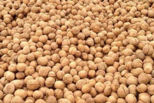 十大減肥干果排行榜,花生有助于增強(qiáng)飽腹感、核桃可使膽固醇降低