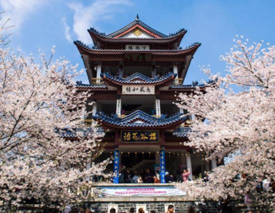 無錫十大著名景點排行榜,太湖吸引眾多游客、黿頭渚山水風光美