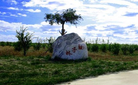 山東省東營市十大旅游景點排行榜 東營有什么好玩的地方