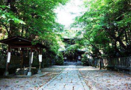 日本熊本縣五大旅游景點(diǎn)排行榜 熊本縣有什么好玩的地方