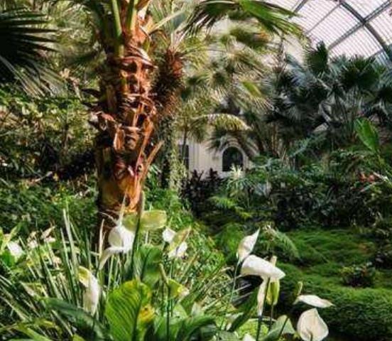 黑森林法蘭克福十大旅游景點(diǎn)排行榜 好玩的地方推薦