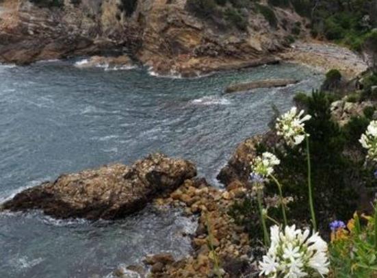 愛(ài)爾蘭梅奧郡八大旅游排行 巴林圖伯修道院是一處皇室修道院
