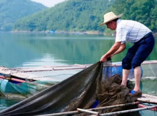 禁漁期水庫釣魚違法嗎?禁漁期自然水域全部都不能釣魚嗎 禁漁期水庫釣魚違法嗎?禁漁期自然水域全部都不能釣魚嗎