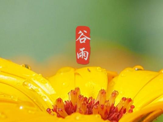 2023年谷雨是幾月幾號?2023年谷雨那天結婚好嗎 2023年谷雨是幾月幾號?2023年谷雨那天結婚好嗎