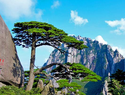 黃山云海是在一天的什么時間段?黃山4月份值得去嗎 黃山云海是在一天的什么時間段?黃山4月份值得去嗎