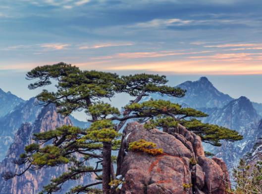 黃山云海是在一天的什么時間段?黃山4月份值得去嗎 黃山云海是在一天的什么時間段?黃山4月份值得去嗎