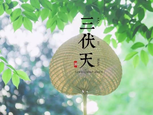 三伏天是最熱的時候嗎?三伏天哪個伏天更熱些 三伏天是最熱的時候嗎?三伏天哪個伏天更熱些