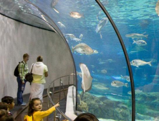 全球十大海洋館排名,亞特蘭大Georgia Aquarium和諾亞方舟非常相似 全球十大海洋館排名,亞特蘭大Georgia Aquarium和諾亞方舟非常相似