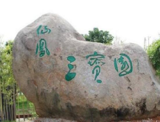 萍鄉最好玩的地方排名,楊岐山自然景觀好、孽龍洞景色千姿百態 萍鄉最好玩的地方排名,楊岐山自然景觀好、孽龍洞景色千姿百態