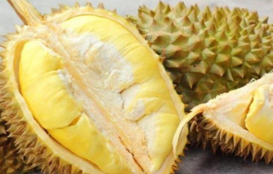 榴蓮有什么營養價值?哪些人群不可以吃榴蓮? 榴蓮有什么營養價值?哪些人群不可以吃榴蓮?