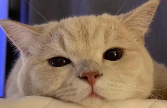 ؈ܳɏ᣿؈ɏҪעʲô  ​