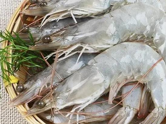 基圍蝦煮多久就熟了?基圍蝦怎么做好吃 基圍蝦煮多久就熟了?基圍蝦怎么做好吃