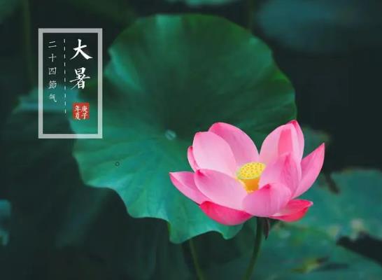 2023年大暑熱好還是涼好?2023年大暑過后天氣會變涼嗎 2023年大暑熱好還是涼好?2023年大暑過后天氣會變涼嗎
