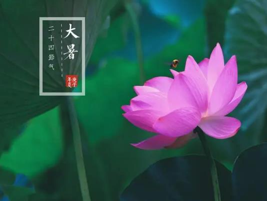 大暑如何養生?大暑過后天氣有什么變化 大暑如何養生?大暑過后天氣有什么變化