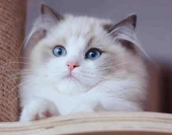 ʮճ˵؈ż؈ԸoKm۶؈ԏ(qing)