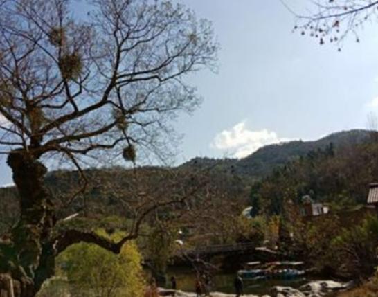河南十大富村排行榜,信陽郝堂村土壤肥沃、平頂山臨灃寨歷史悠久 河南十大富村排行榜,信陽郝堂村土壤肥沃、平頂山臨灃寨歷史悠久