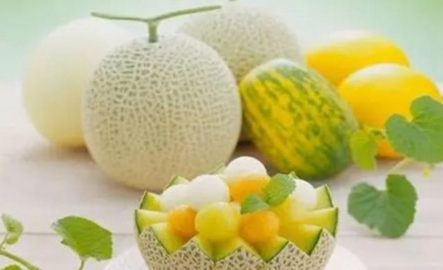 減肥吃哈密瓜會胖嗎 經(jīng)常吃哈密瓜有什么好處 減肥吃哈密瓜會胖嗎 經(jīng)常吃哈密瓜有什么好處