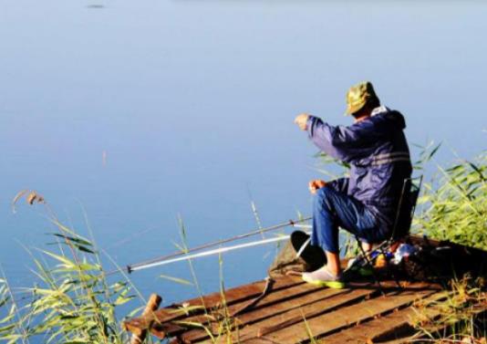三伏天釣魚要注意什么?三伏天釣魚用多長的竿 三伏天釣魚要注意什么?三伏天釣魚用多長的竿