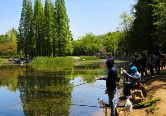三伏天釣魚用什么香型餌料?三伏天釣魚釣深還是釣淺 三伏天釣魚用什么香型餌料?三伏天釣魚釣深還是釣淺