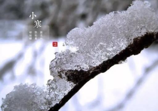 2024年小寒是二九還是三九?2024小寒不冷春節(jié)冷嗎 2024年小寒是二九還是三九?2024小寒不冷春節(jié)冷嗎