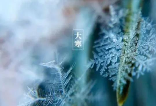 大寒適宜下葬嗎?2024年大寒冷春節就冷嗎 大寒適宜下葬嗎?2024年大寒冷春節就冷嗎