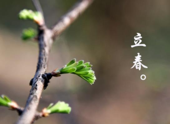 立春在幾九這一天?2024立春是數九的哪一天 立春在幾九這一天?2024立春是數九的哪一天