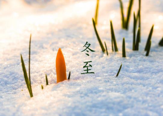 冬至交九是什么意思?冬至以后太陽是不是慢慢升高 冬至交九是什么意思?冬至以后太陽是不是慢慢升高