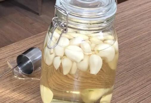 大蒜播種后管理要注意什么?大蒜干尖咋回事 大蒜播種后管理要注意什么?大蒜干尖咋回事