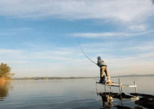釣黑坑什么時候好釣魚?夜釣魚能看見魚餌嗎 釣黑坑什么時候好釣魚?夜釣魚能看見魚餌嗎