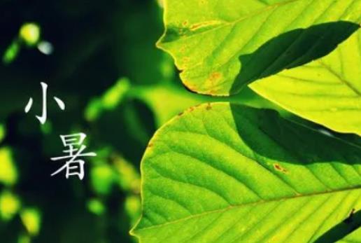 小暑和大暑相差幾天?小暑過后降雨量大還是小 小暑和大暑相差幾天?小暑過后降雨量大還是小