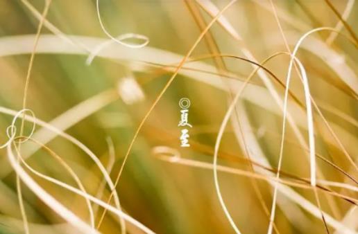 2024年夏至之后天氣會(huì)更熱嗎?2024年夏至日后是晝長夜短還是晝短夜長 2024年夏至之后天氣會(huì)更熱嗎?2024年夏至日后是晝長夜短還是晝短夜長