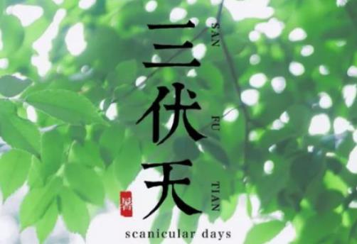 今年是母伏熱嗎?入伏是節氣嗎 今年是母伏熱嗎?入伏是節氣嗎