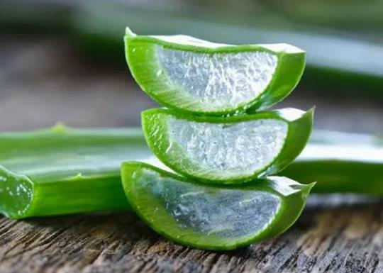 新鮮蘆薈擦臉會(huì)越來(lái)越黑嗎?新鮮蘆薈擦臉過(guò)敏了怎么辦 新鮮蘆薈擦臉會(huì)越來(lái)越黑嗎?新鮮蘆薈擦臉過(guò)敏了怎么辦
