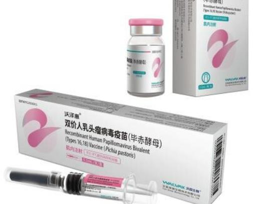 男性打hpv疫苗多少錢一針?男性hpv疫苗去哪里打 男性打hpv疫苗多少錢一針?男性hpv疫苗去哪里打
