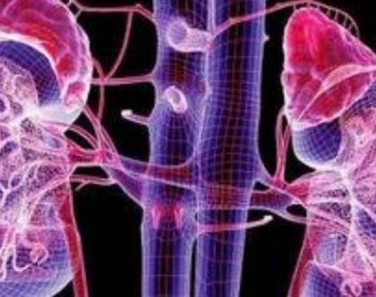 腎結石會不會傳染?腎結石會發展為尿毒癥嗎 腎結石會不會傳染?腎結石會發展為尿毒癥嗎