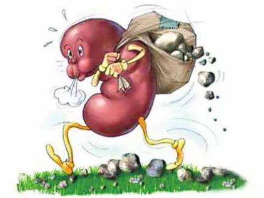 腎結石怕著涼嗎?腎結石擊碎后怎樣排出 腎結石怕著涼嗎?腎結石擊碎后怎樣排出
