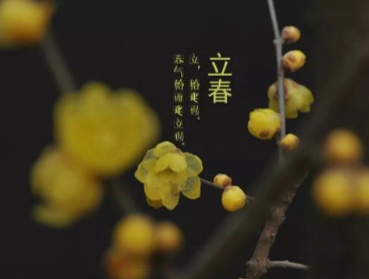 2025年為什么是有春年?2025倒春寒天氣注意什么 2025年為什么是有春年?2025倒春寒天氣注意什么